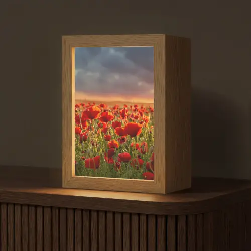 Zonsondergang - Klaprozen - Rood - Bloemen - Veld - Natuur Light Box met kabel (Tafellamp) klein -z3d_website