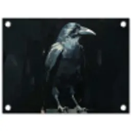 Raaf - Vogels - Zwart tuinposter los doek klein -3d