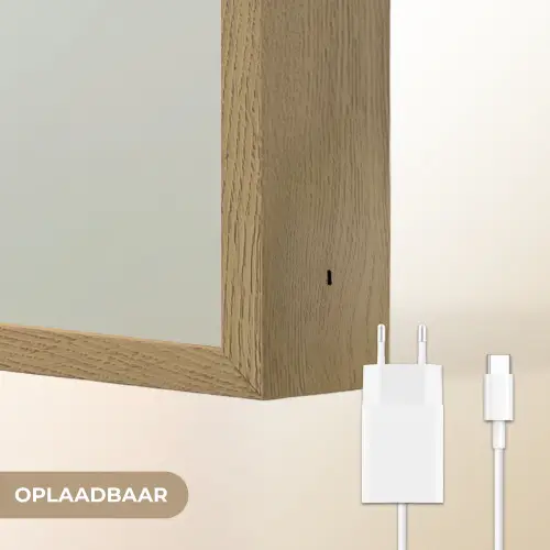 Schotse Hooglander - Bruin - Hoorns - Kokskleding Light Box met batterij (Wandlamp) middel -USP_websiteoplaadbaarNL