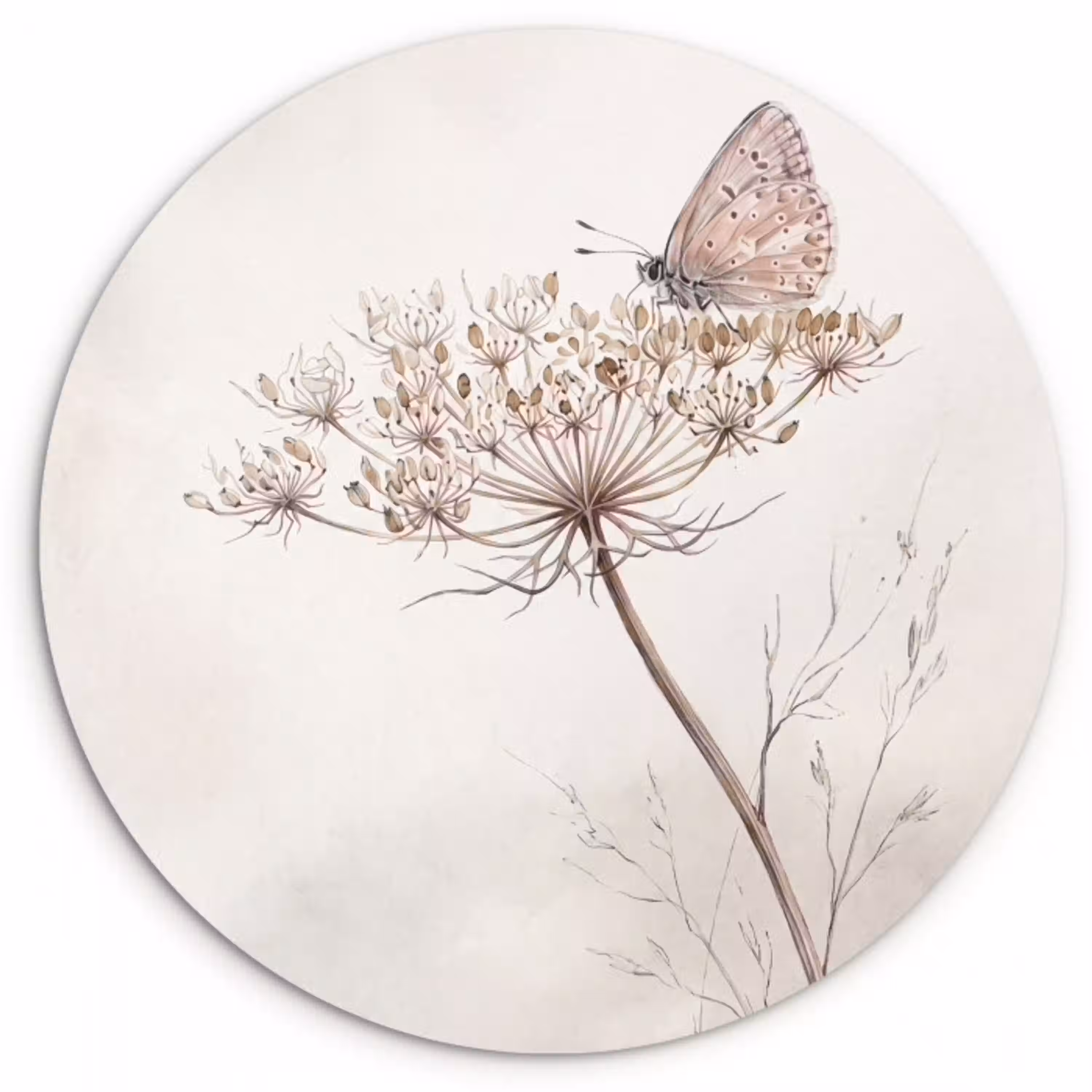 Vlinder - Bloem -Natuur - Beige Wandcirkel kunststof plaat 5mm dik klein -3d
