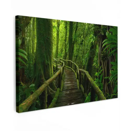 Jungle - Brug - Mos - Natuur - Tropisch Tuinposter op houten frame 2 cm dik klein -3d