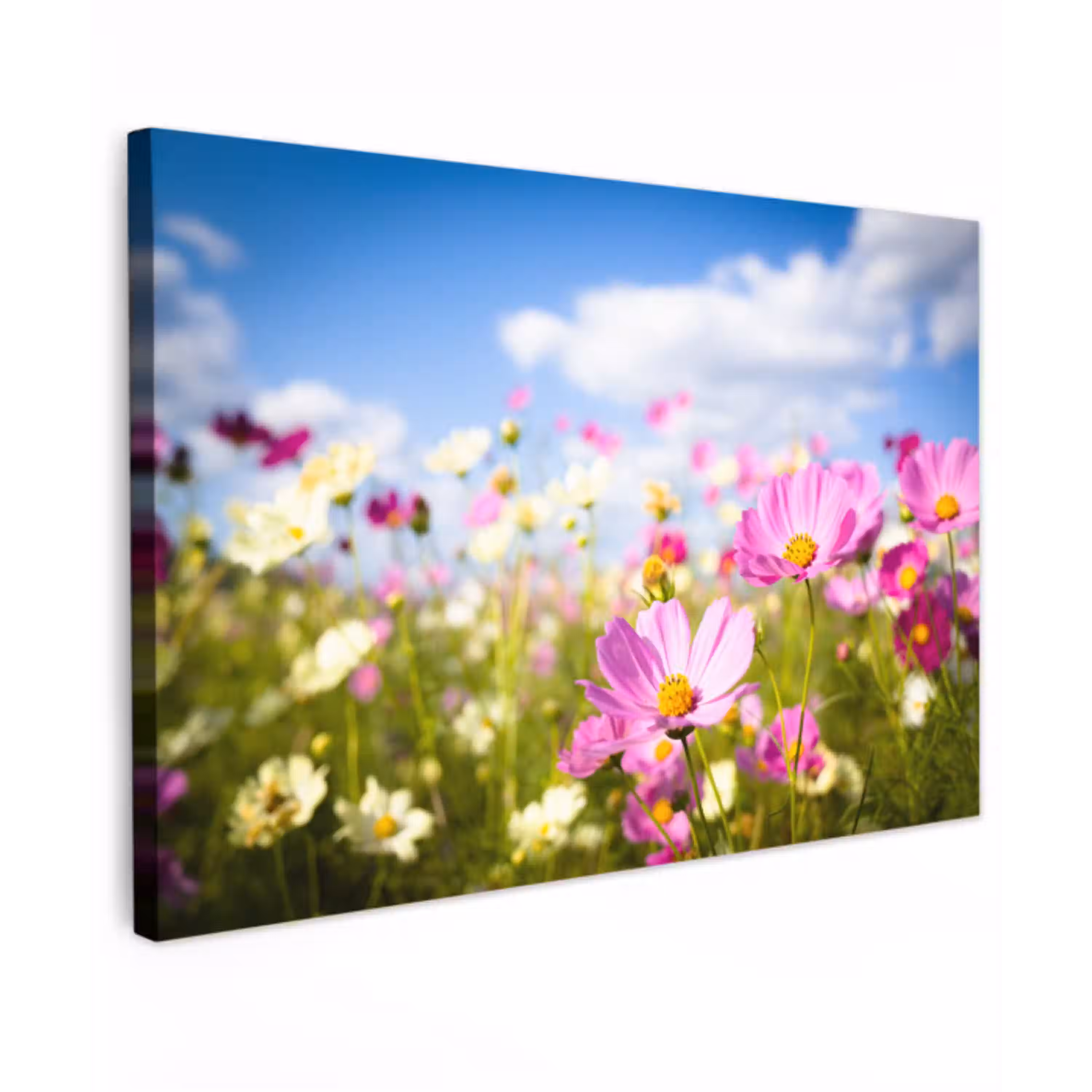 Bloemen - Wei - Paars - Gras - Wit - Wolken - Blauw Tuinposter op houten frame 2 cm dik klein -3d