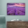 Lavendel - Paars - Bloemen - Veld canvas 2cm klein -sfeer4