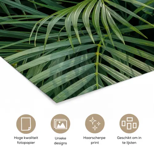 Planten - Jungle - Bladeren - Tropisch poster papier klein -closeup_NL