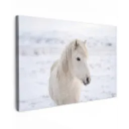 Paard - Kop - Winter - Dieren - Wit canvas 2cm klein -z3d