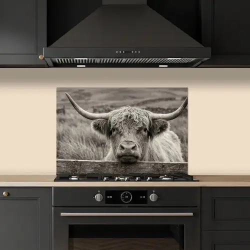 Schotse hooglander - Zwart - Wit - Hout keuken achterwand spatscherm klein -sfeer1
