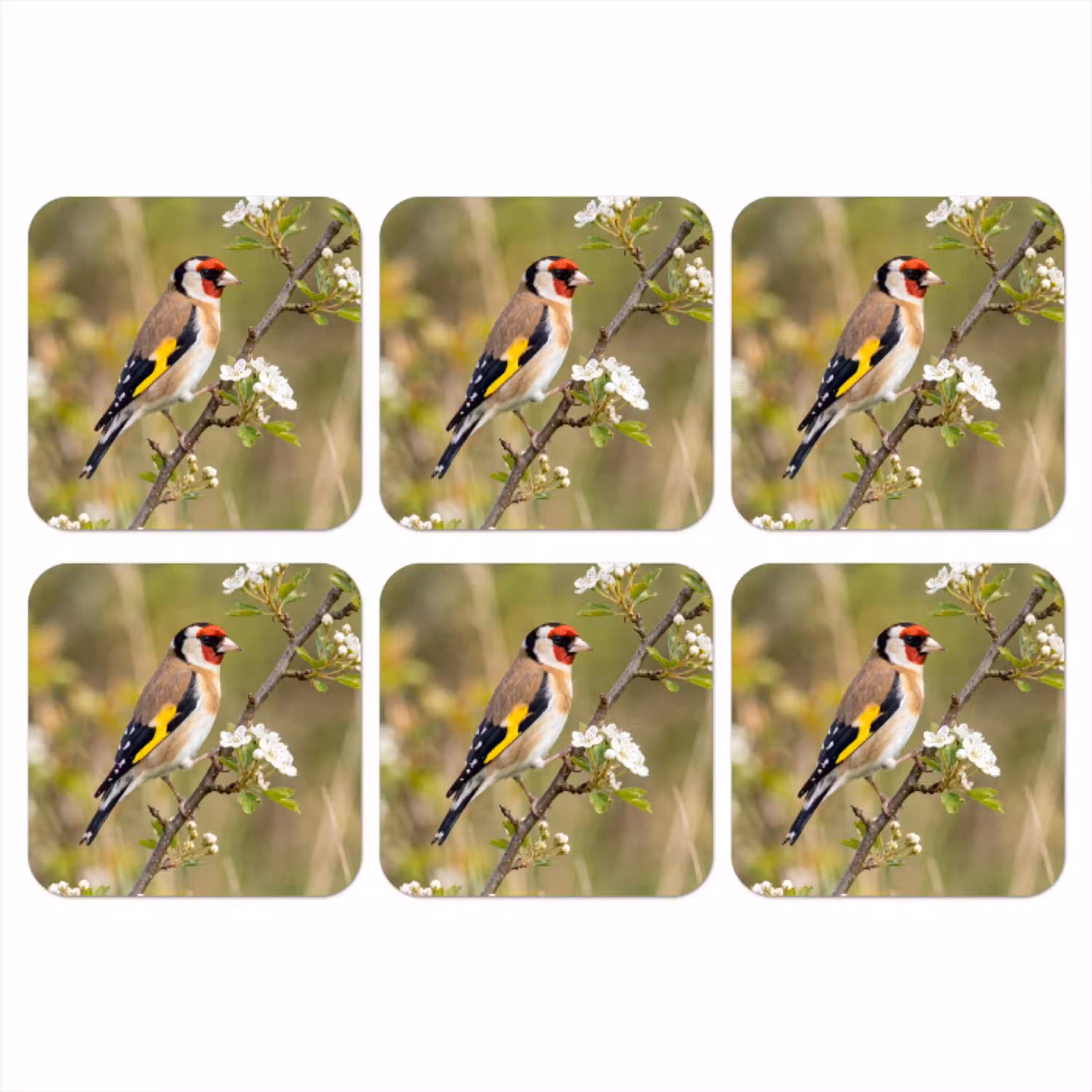 Putter - Bloesem - Lente - Natuur - Kleurrijk onderzetter kurk middel -3d