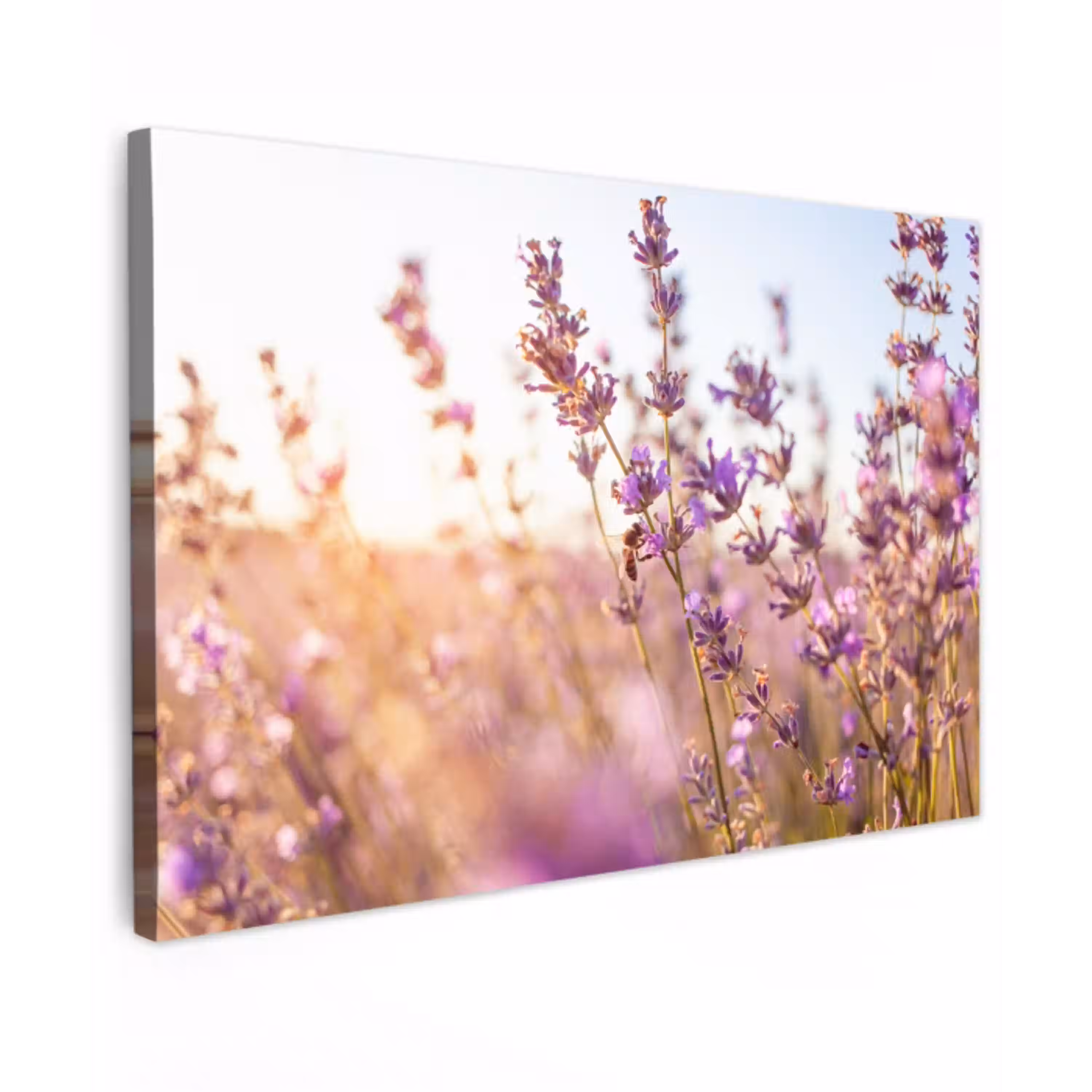Lavendel - Close-up - Zon - Bloemen - Paars canvas 2cm klein -z3d