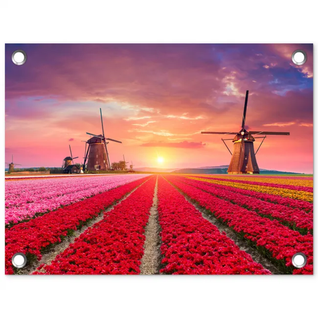 Tulpenvelden met windmolens bij zonsondergang tuinposter los doek klein -3d