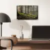 Zon - Takken - Bomen - Bos - Natuur plexiglas 5mm klein -sfeer6