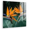 Paradijsvogel - Bloem - Exotisch plexiglas 5mm klein -zzzproduct_nieuw
