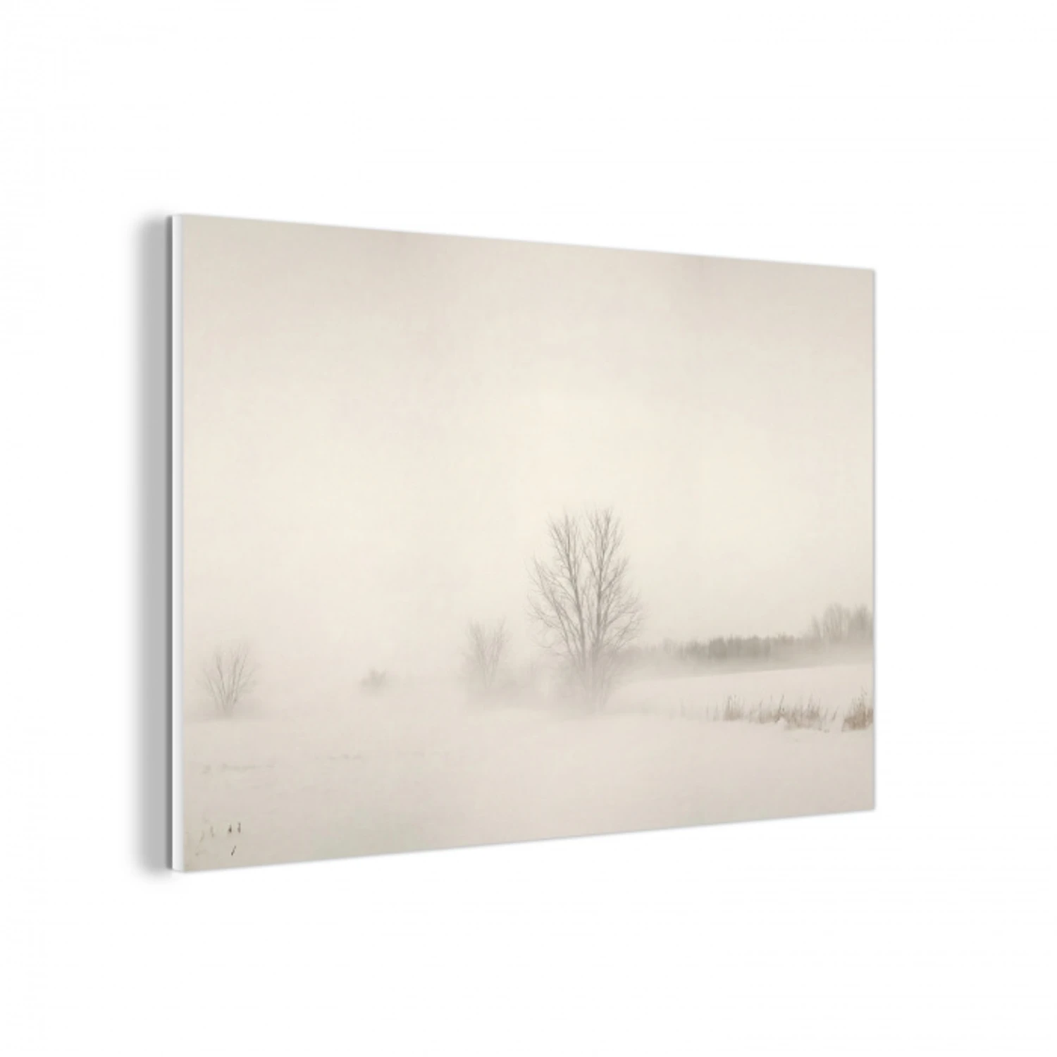 Boom - Mist - Sneeuw - Winter - Minimalistisch forex 5mm xxl -3d