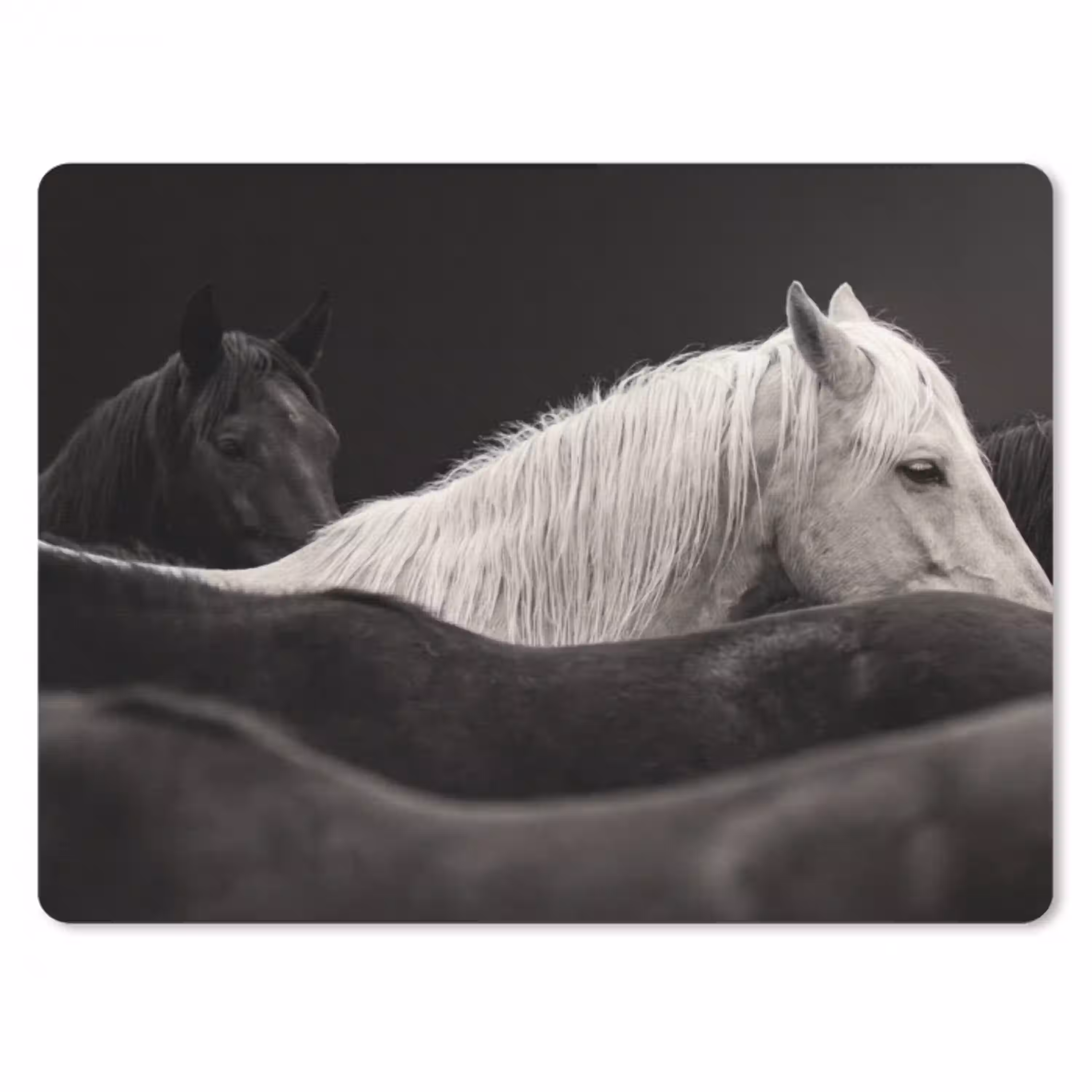 Paarden - Zwart - Wit - Kudde muismat rubber klein -3d