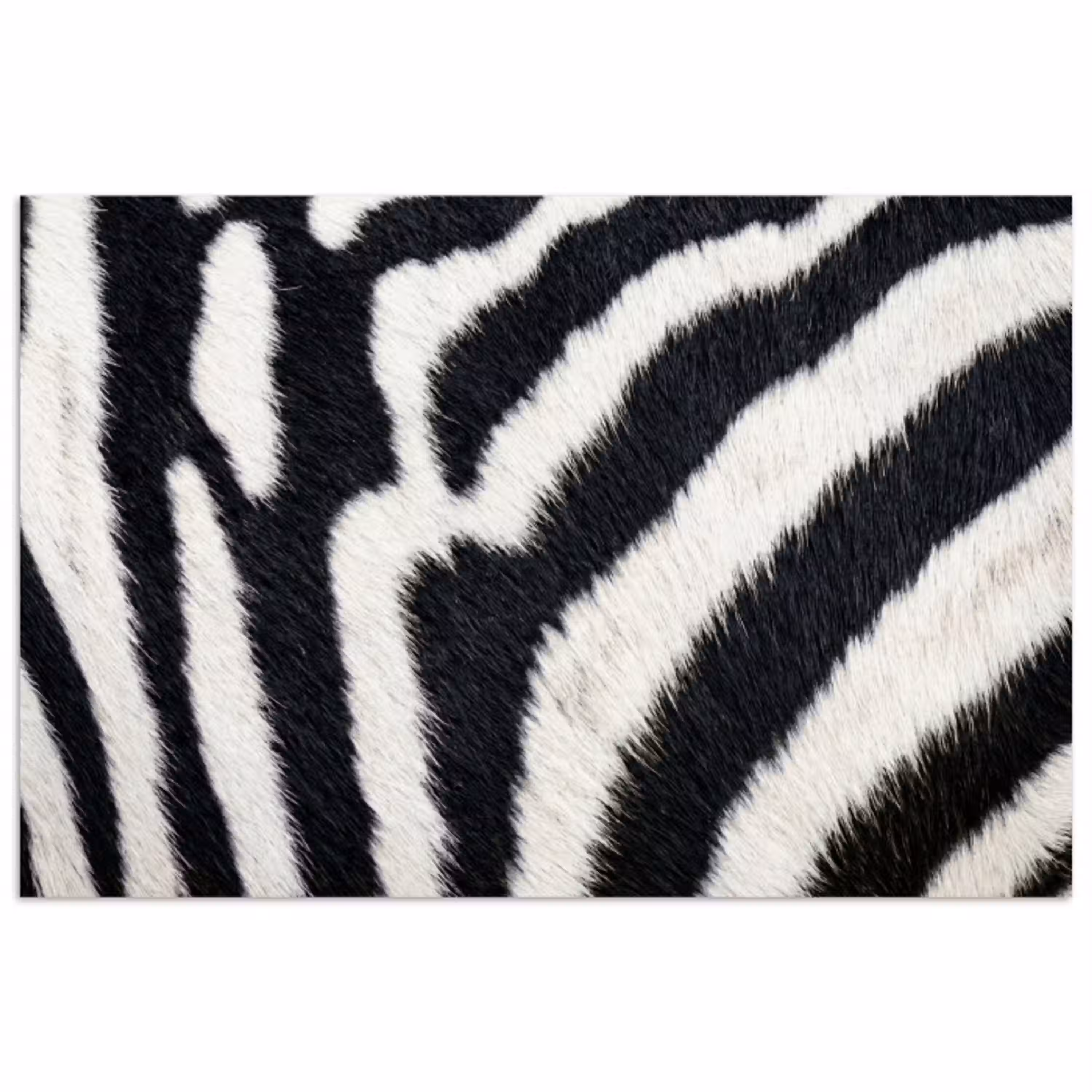 Zebra - Vacht - Klassiek - Zwart - Wit poster papier klein -3d