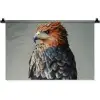 Vogel - Realistisch - Veren - Bruin Wandkleed katoen klein -zz3d