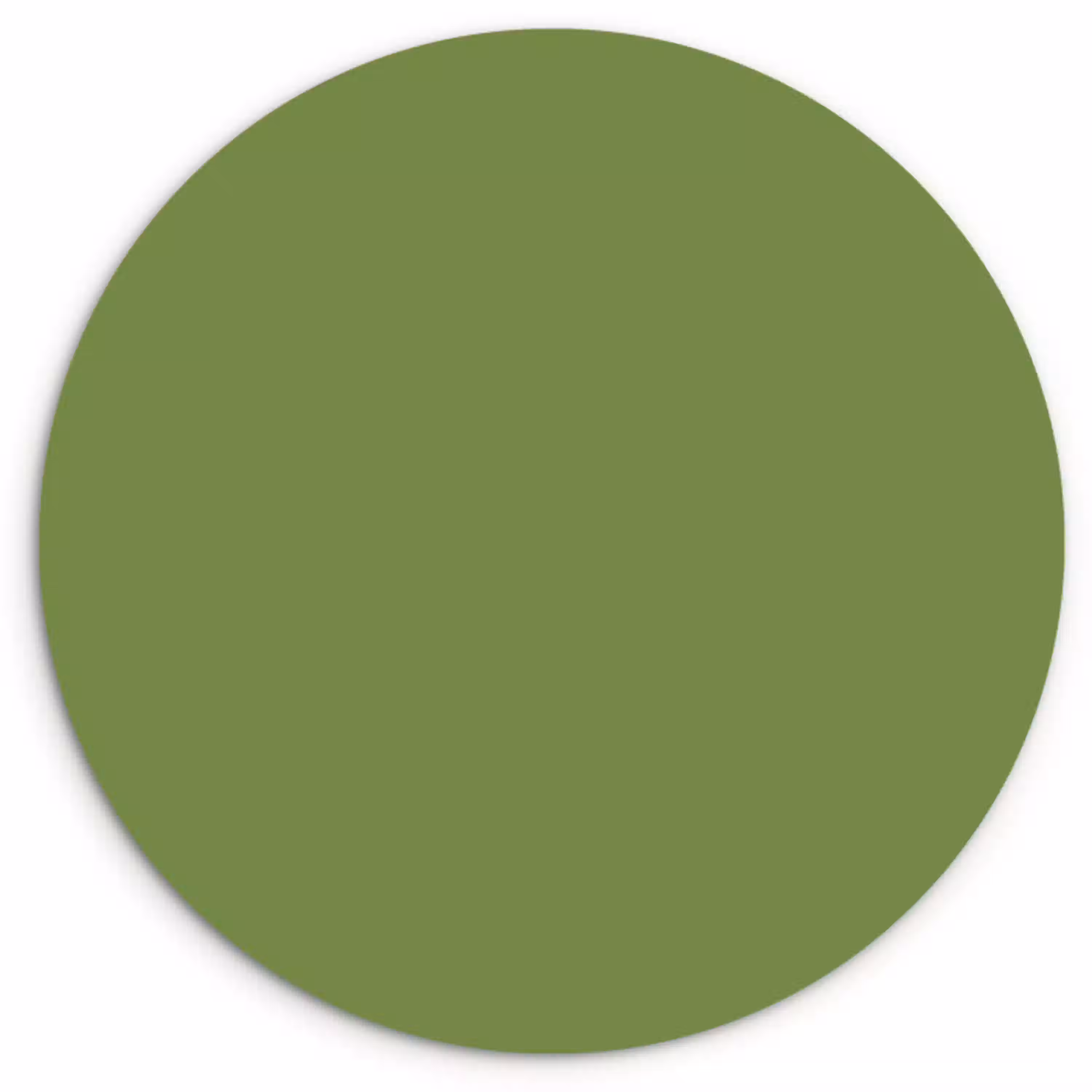 Moss - Green - Groen Wandcirkel kunststof plaat 5mm dik klein 188 -3d