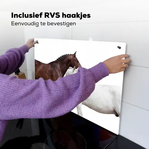 Paard - Modern - Balans Inductie beschemer met haakjes klein -ky-ophangen-nl