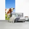 Koeien - Boerderij - Gras- Natuur - Dieren fotobehang vinyl groot -slaapkamer