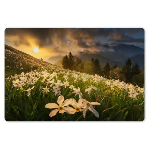 Bloemenveld - Heuvels - Zonsondergang - Berg - Natuur - Wit - Heuvels Placemat vinyl groot -zzsfeer1_Kitchenyeah-website