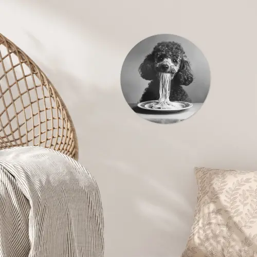 Poedel - Hond - Zwart - Wit - Schattig - Pasta Wandcirkel behangsticker klein -sfeer4