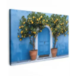 Citroenbomen - Geel - Deur - Potten Tuinposter op houten frame 2 cm dik klein -3d