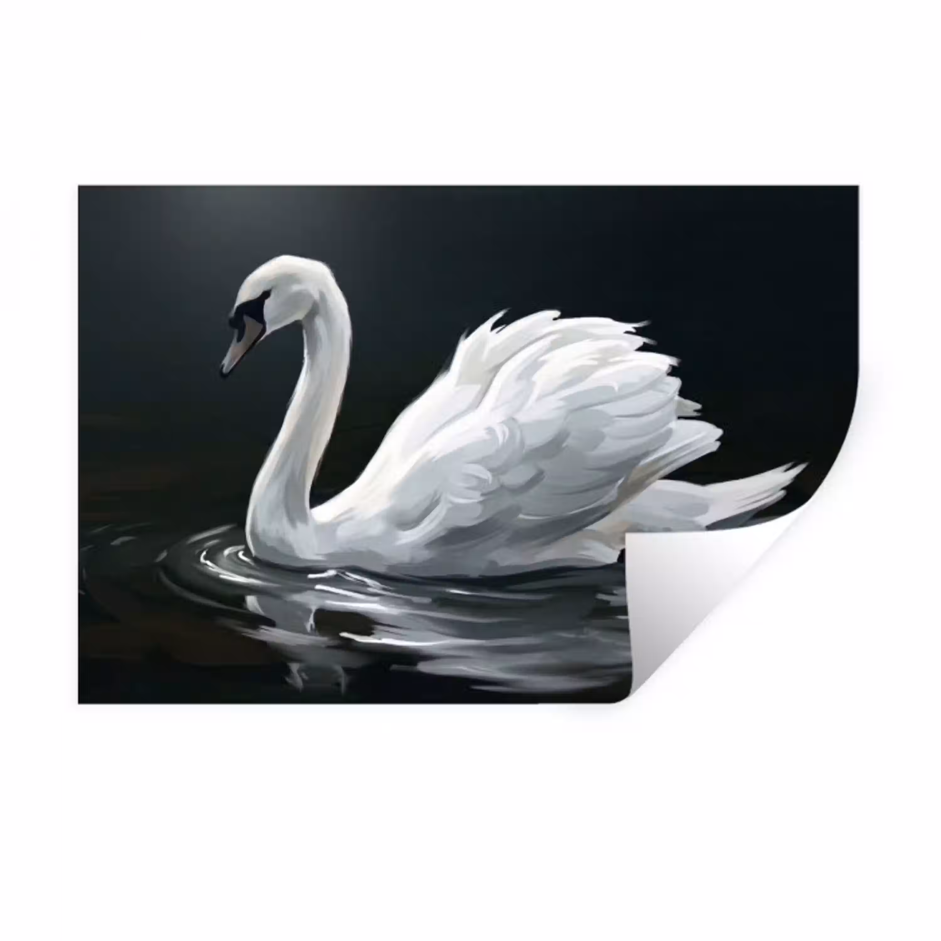 Zwaan - Water - Natuur - Realistisch - Wit Muursticker klein -3d