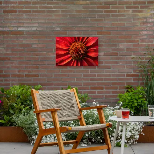 Close up - Bloem- Rood Tuinposter op houten frame 2 cm dik klein -sfeer3