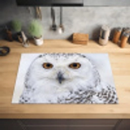 Sneeuwuil - Oog - Wildlife - Wit Inductie beschermer vinyl 3mm klein -sfeer5