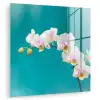 Orchidee - Bloemen - Plant - Wit - Paars plexiglas 5mm klein -zzzproduct_nieuw