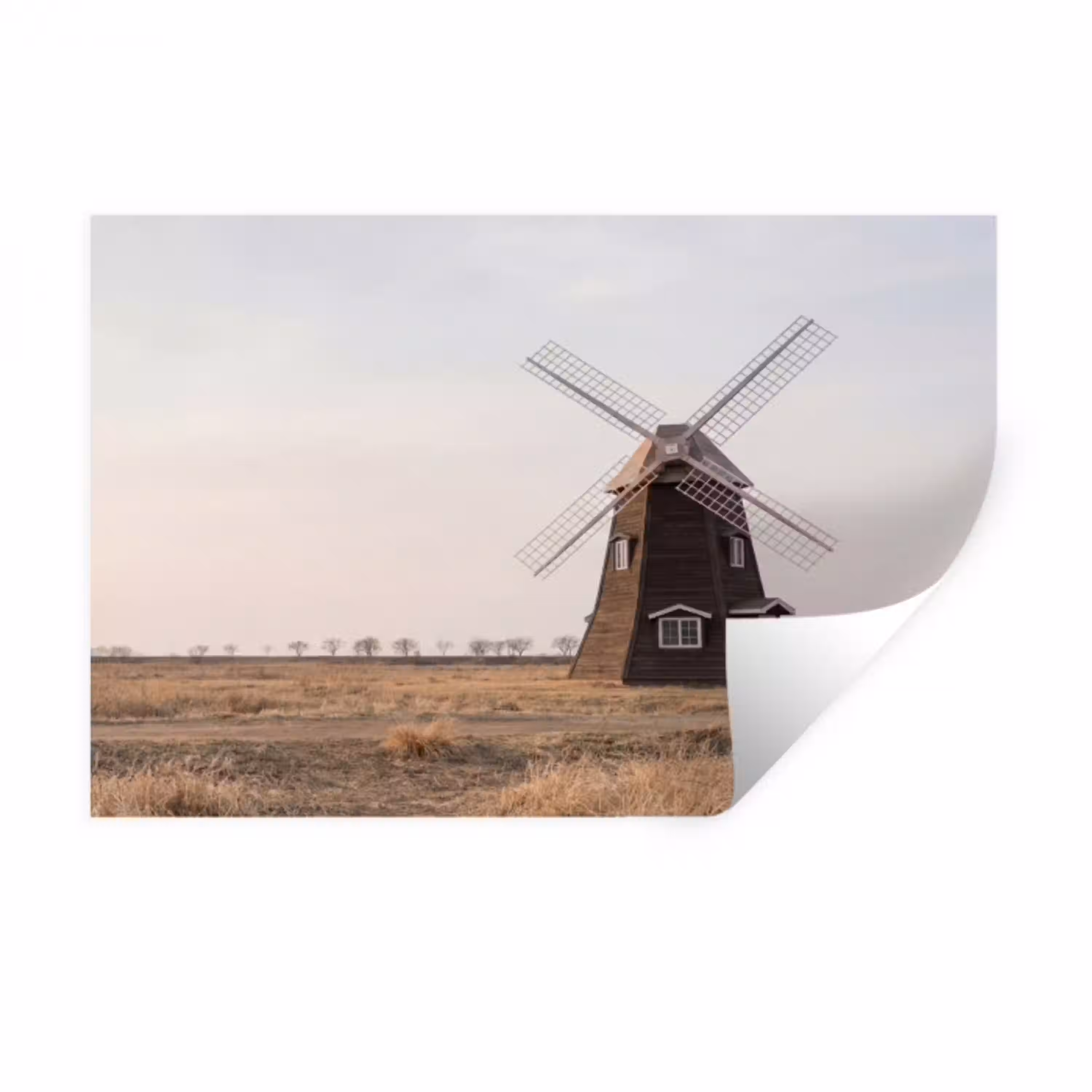 Windmolens - Landschap - Veld Muursticker klein -3d