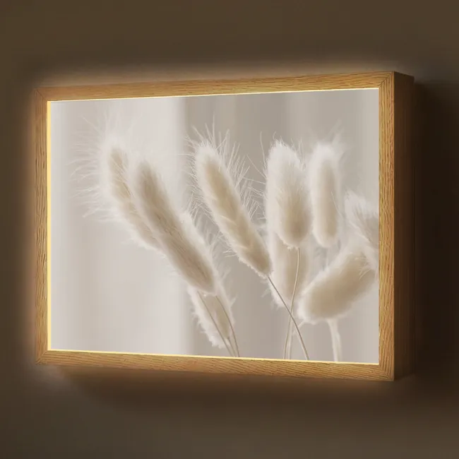 Lightbox - Wandlamp - Pampasgras - Pluim - Wit