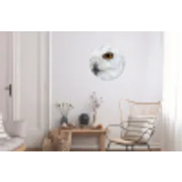Sneeuwuil - Oog - Wildlife - Wit Wandcirkel aluminium klein -woonkamer