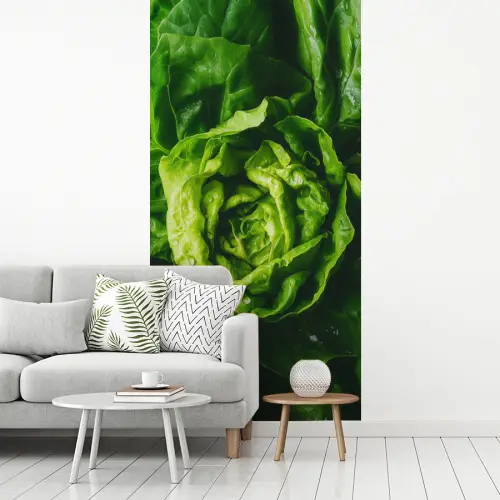 Groente - Sla - Groen fotobehang vinyl groot -woonkamer