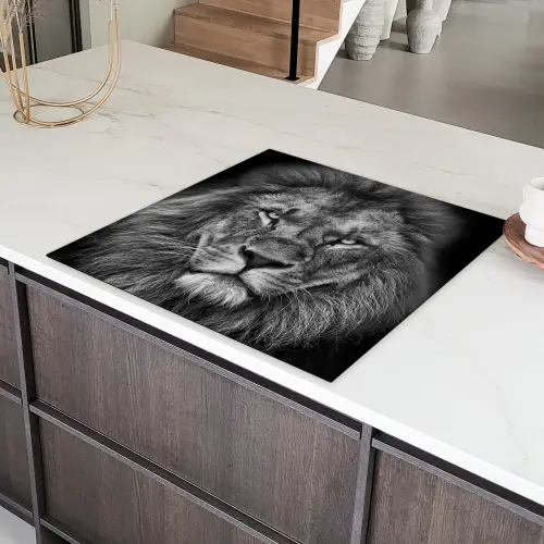 Dieren - Leeuw - Zwart - Wit - Portret Inductie beschermer vinyl 3mm middel -sfeer8
