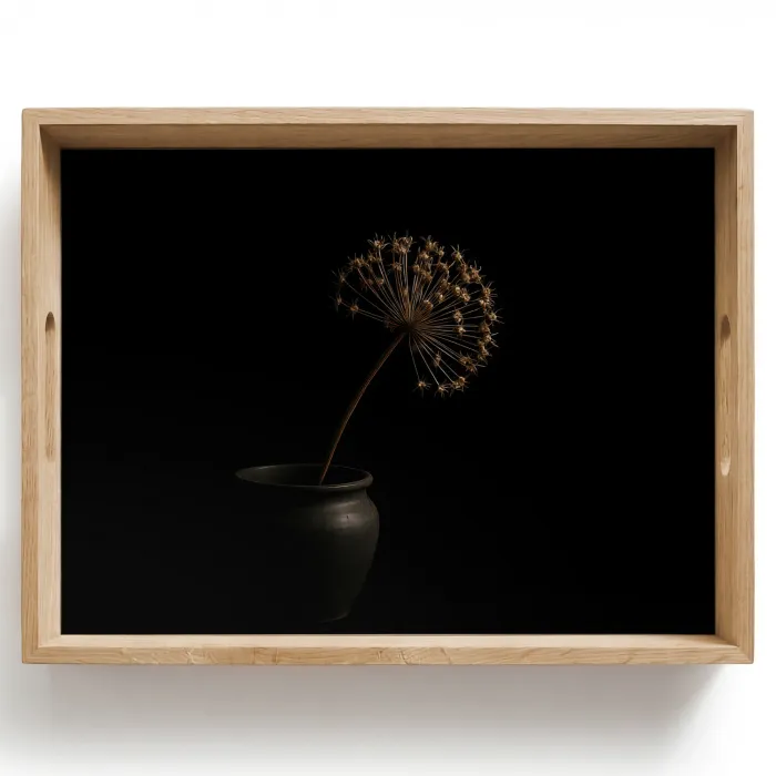 Bol - Gedroogd - Vaas - Zwart Dienblad Rechthoek middel -z3d_shopping