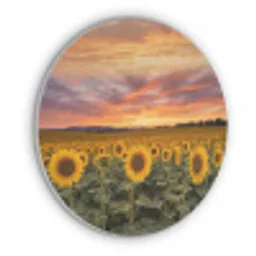 Zonnebloemen - Heuvellandschap - Geel Akoestische PET Vilt - Rond klein -3d
