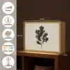 Eikenbladeren - Beige - Groen - Golvende randen Light Box met batterij (Wandlamp) middel -USP_websiteoverzichtNL