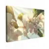 Bloesems - Wit - Zonnestralen -  Bloemblaadjes canvas 2cm klein -z3d