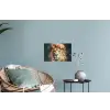 Leeuw - Leeuwenkop - Wilde dieren - Bloemen Muursticker klein -plant