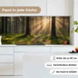 Bos - Zonlicht - Gras keuken achterwand 2 middel -sfeer4_DE