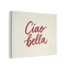 Ciao bella - Rood - Wit - Minimalistisch PET vilt klein -3d