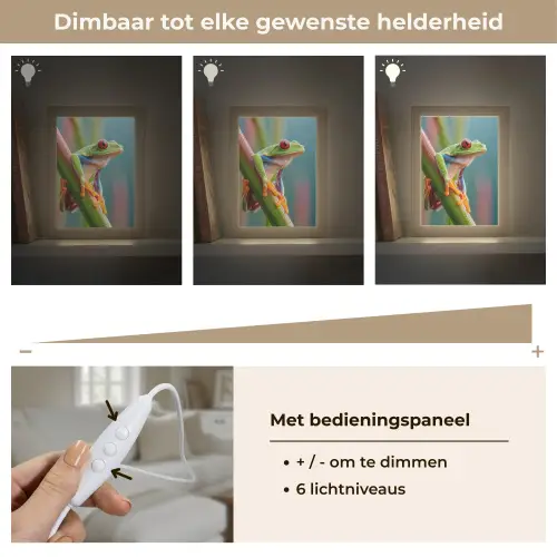Kleurrijke kikker - Groene stengel - Alert Light Box met kabel (Tafellamp) klein -USP_dimbaarNL