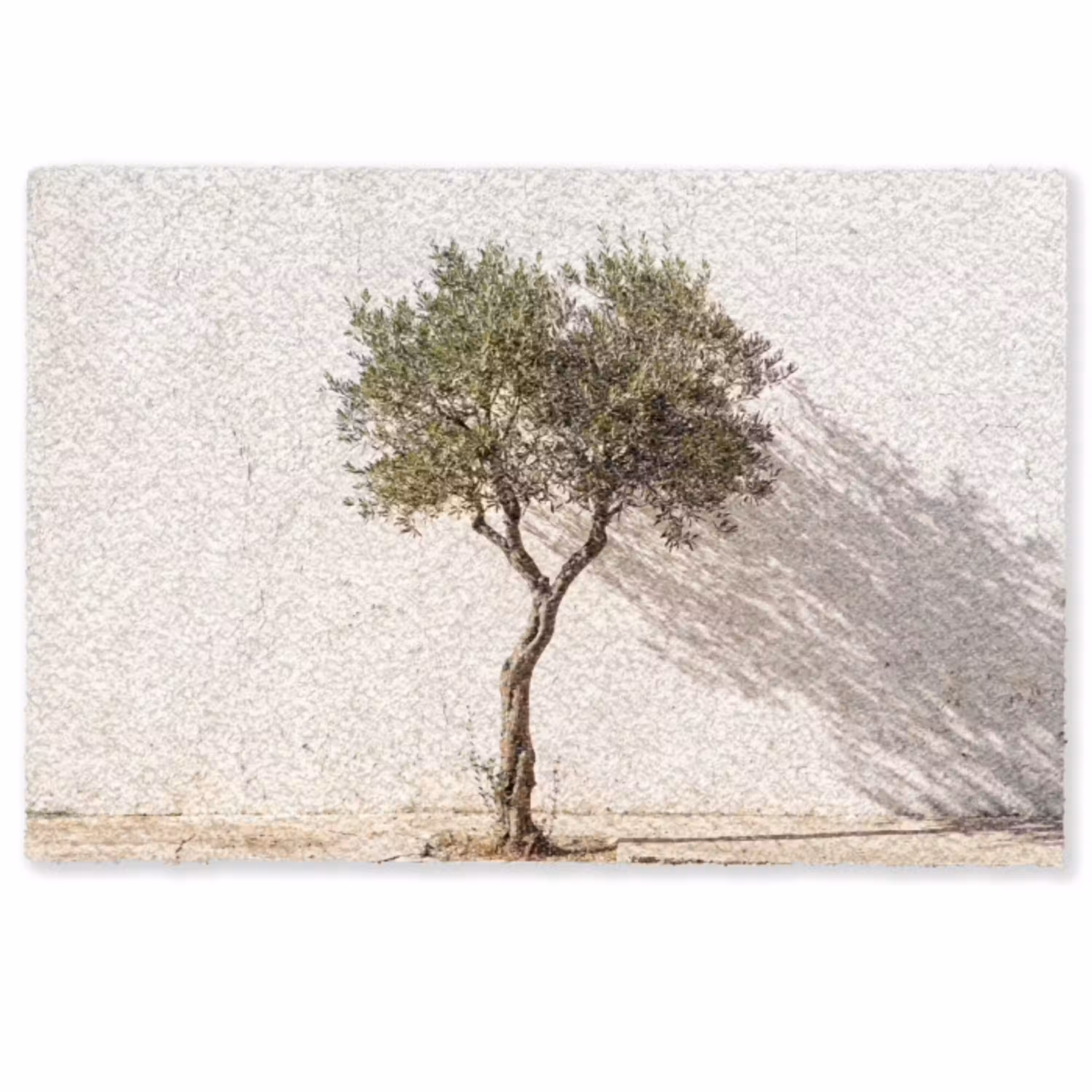 Olijfboom - muur - wit Deurmat klein -zkaufland3d
