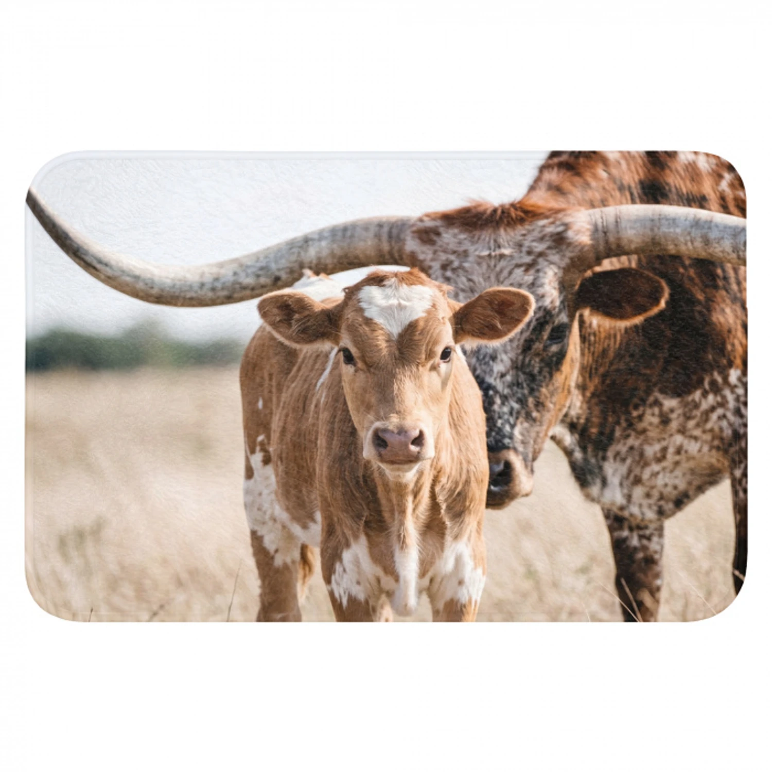 Texas Longhorn - Kalf - Weide - Dieren Badmat klein -3d