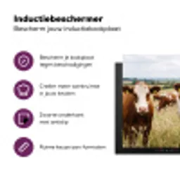 Koeien - Portret - Weide - Boerderij - Nieuwsgierig Inductie beschermer vinyl 3mm klein -zzzzzzz-cc-usp