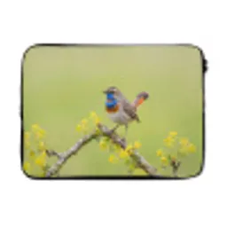 Vogel - Tak - Natuur - Kleurrijk laptophoes neopreen klein -3d