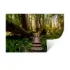 Jungle - Natuur - Trap - Bomen Muursticker klein -3d