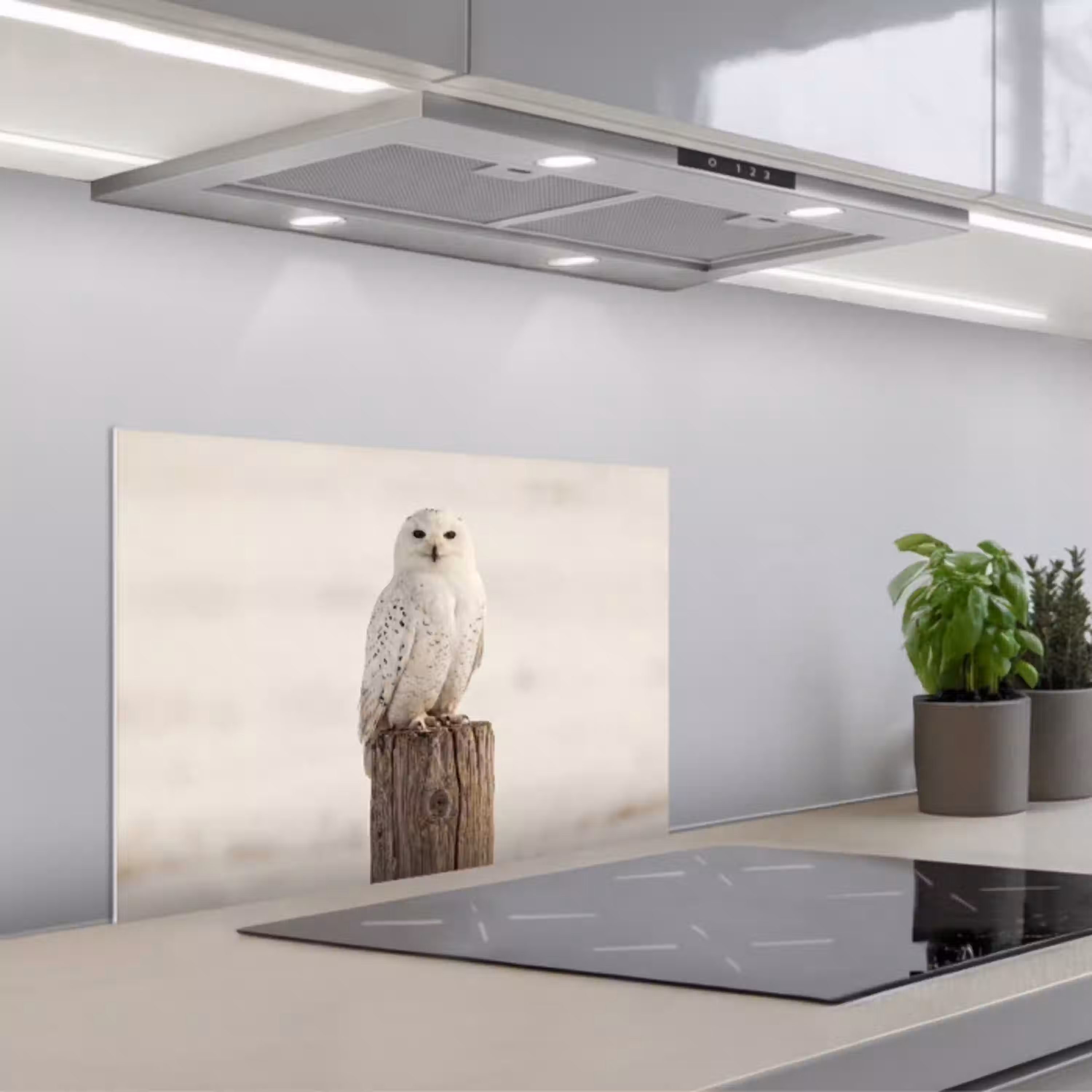 Sneeuwuil - Paal - Winter - Portret - Majestueus keuken achterwand spatscherm klein -3d_schuin