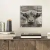 Schotse hooglander - Zwart - Wit - Hout plexiglas 5mm klein -sfeer1
