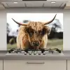 Schotse Hooglander -  Koe - Gras - Dieren - Natuur keuken achterwand spatscherm klein -3d_website